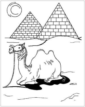 Deve boyama sayfası, Camel coloring page, Mısır Devesi Oturan, 