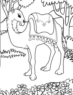 Deve boyama sayfası, Camel coloring page, Hoş Deve, 