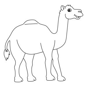 Deve boyama sayfası, Camel coloring page, Eğlenceli Deve, 