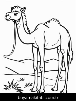 Deve boyama sayfası – okul öncesi, evde etkinlik