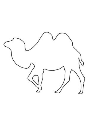 Deve boyama sayfası, Camel coloring page, Deve Anahat, 