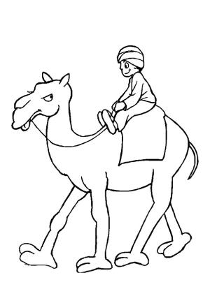 Deve boyama sayfası, Camel coloring page, A Man Riding Camel, 