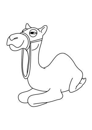 Deve boyama sayfası, Camel coloring page, Deve Yatarken, 