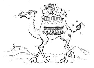 Deve boyama sayfası, Camel coloring page, Çölde Yürüyen Deve, 