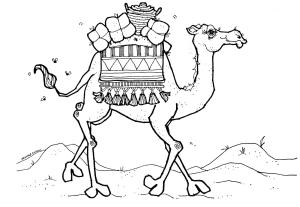 Deve boyama sayfası, Camel coloring page, Giysi Taşıyan Deve, 