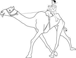 Deve boyama sayfası, Camel coloring page, Deveye binen Adam, 