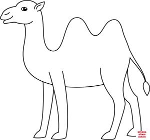 Deve boyama sayfası, Camel coloring page, , Camels Camel