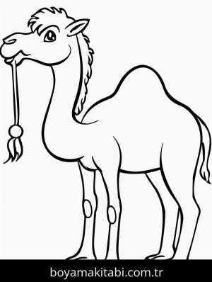 Deve boyama sayfası – çocuk aktivitesi, PDF indir