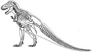 Dinazor boyama sayfası,  coloring page, İskelet T-Rex, 