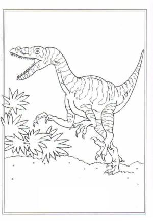 Dinozor boyama sayfası,  coloring page, , 