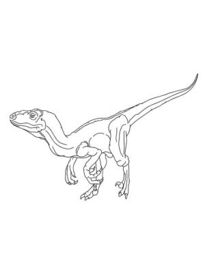 Dinozor boyama sayfası,  coloring page, , 