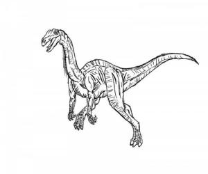 Dinozor boyama sayfası,  coloring page, , 