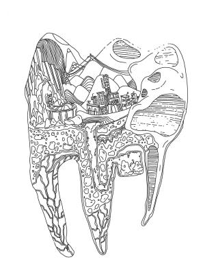 Diş boyama sayfası,  coloring page, Diş Haritası, 