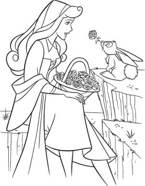 Disney Prensesi boyama sayfası,  coloring page, Prenses Aurora ve Tavşan, 