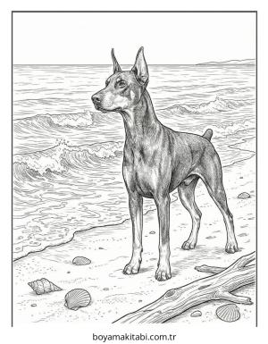 Doberman boyama sayfası – eğitici aktivite, yaratıcılık
