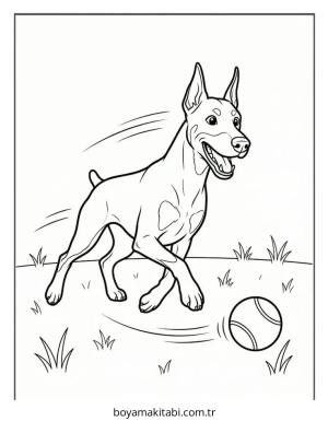 Doberman boyama sayfası – evde etkinlik, ücretsiz yazdır