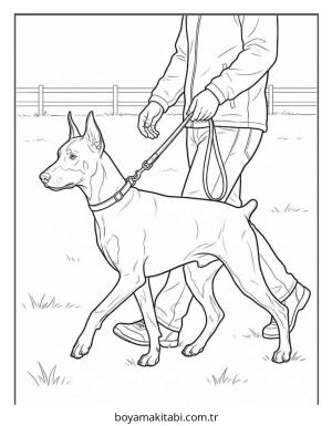 Doberman boyama sayfası – çizgi film temalı, basit çizim