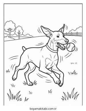 Doberman boyama sayfası – evde etkinlik, ücretsiz yazdır