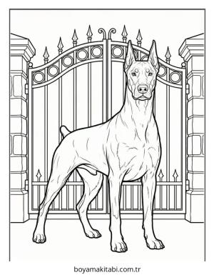 Doberman boyama sayfası – basit çizim, kolay boyama