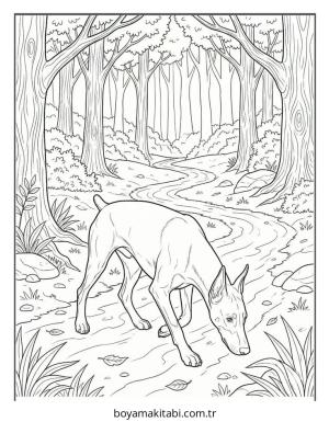 Doberman boyama sayfası – boyama çalışması, yaratıcılığı geliştirir