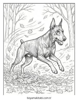Doberman boyama sayfası – boyama etkinliği, çocuk aktivitesi