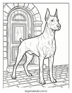 Doberman boyama sayfası – el becerilerini geliştirir, boyama çalışması