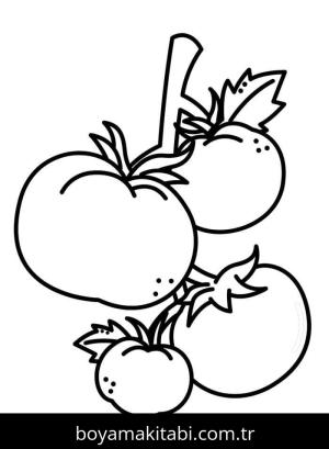 Domates boyama sayfası – eğitici aktivite, yaratıcılık