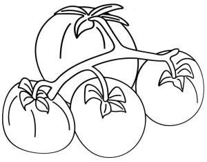 Domates boyama sayfası,  coloring page, Dört Domates, 