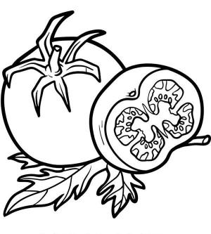 Domates boyama sayfası,  coloring page, Domates Sebze, 