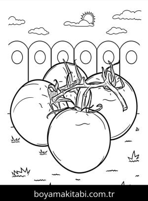 Domates boyama sayfası – yaratıcılığı geliştirir, keyifli zaman