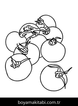 Domates boyama sayfası – ücretsiz yazdır, boyama etkinliği