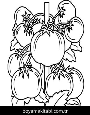 Domates boyama sayfası – PDF indir, sevimli karakter