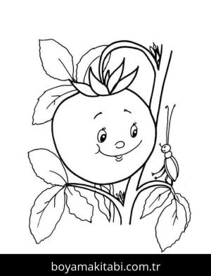 Domates boyama sayfası – okul öncesi, evde etkinlik