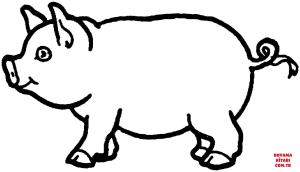 Domuz boyama sayfası, Pig coloring page, , pig swine 