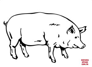 Domuz boyama sayfası, Pig coloring page, , pig fat pig 