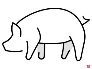 Domuz boyama sayfası, Pig coloring page, , pig pig emoji 