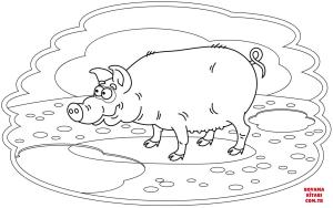 Domuz boyama sayfası, Pig coloring page, , pig pig 