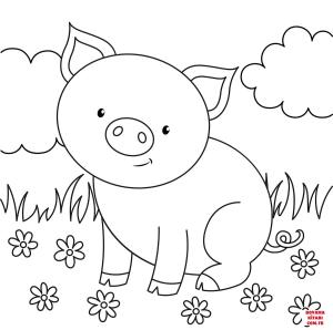 Domuz boyama sayfası, Pig coloring page, , pig cute pig 