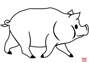 Domuz boyama sayfası, Pig coloring page, , pig domestic pig 