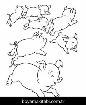 Domuz boyama sayfası – boyama etkinliği, çocuk aktivitesi