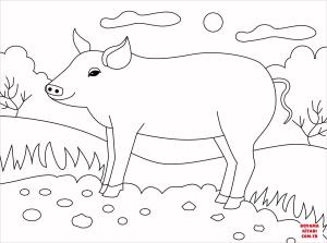 Domuz boyama sayfası, Pig coloring page, , pig pig 