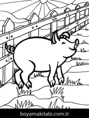 Domuz boyama sayfası – keyifli zaman, renkli çizimler
