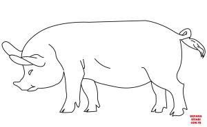 Domuz boyama sayfası, Pig coloring page, , pig pig 