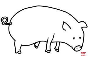 Domuz boyama sayfası, Pig coloring page, , pig pig 