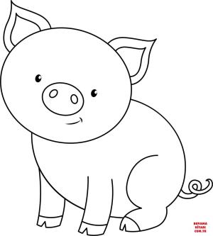 Domuz boyama sayfası, Pig coloring page, , pig cute pig 