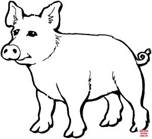 Domuz boyama sayfası, Pig coloring page, , pig cute pig 