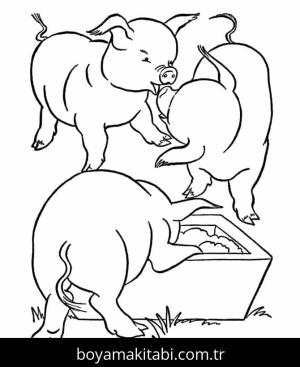 Domuz boyama sayfası – sanatsal çalışma, çocuklar için