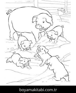 Domuz boyama sayfası – sanatsal çalışma, çocuklar için