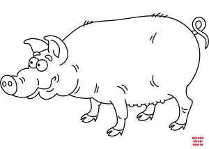 Domuz boyama sayfası, Pig coloring page, , pig funny pig 