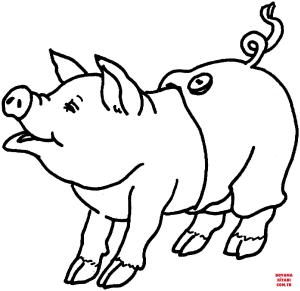 Domuz boyama sayfası, Pig coloring page, , pig cute pig 